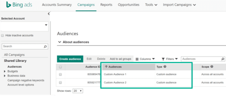 Bing Custom Audiences