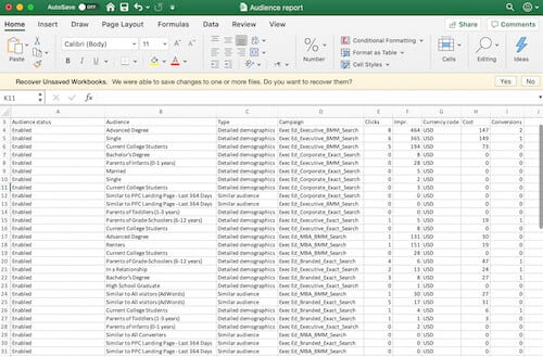 audience-excel-spreadsheet