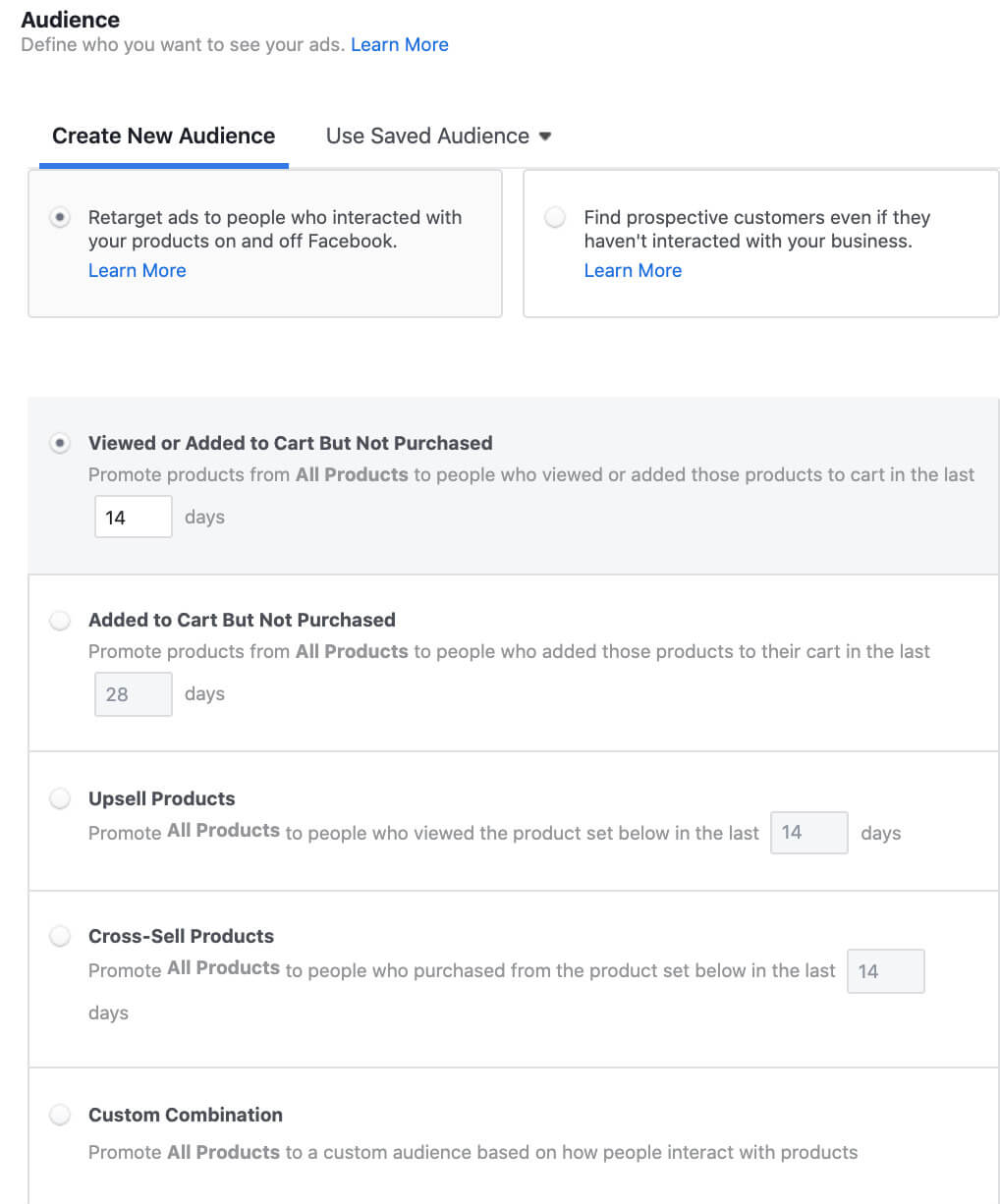 audience options for remarketing within Facebook catalog campaign