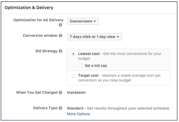 facebook ads bidding options