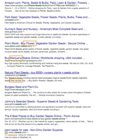 Image of Google organic results