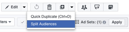 Power Editor Split Audiences