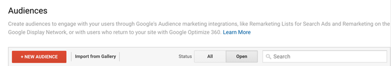 Google Analytics new audience